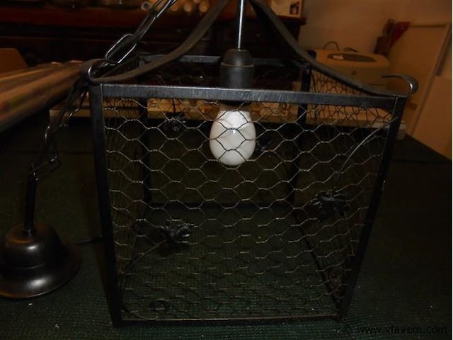 Halluster - afbeelding 3 van  3