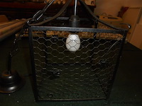 Halluster - afbeelding 3 van  3