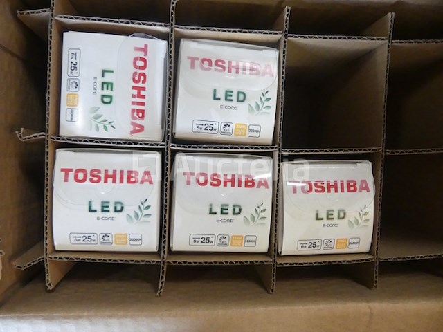 Halogeenlamp/tl - afbeelding 15 van  16