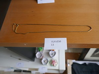 Halsketting met veiligheidsketting - afbeelding 1 van  1