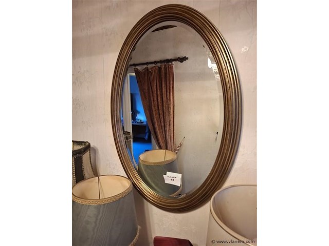 Halspiegel - afbeelding 1 van  1