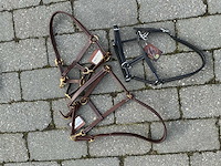 Halster veulens (3x) - afbeelding 1 van  5