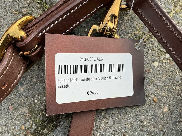 Halster veulens (3x) - afbeelding 2 van  5