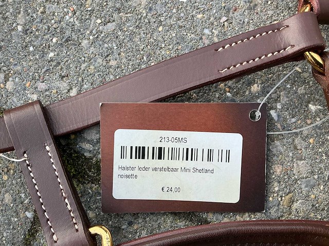 Halster veulens (3x) - afbeelding 3 van  5