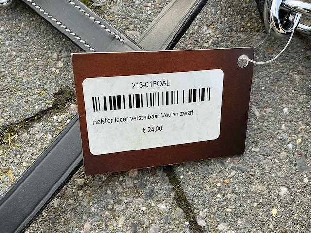 Halster veulens (3x) - afbeelding 4 van  5