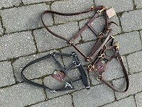 Halster veulens (3x) - afbeelding 5 van  5