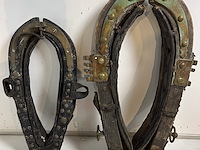 Halster voor muilezels 2 items - afbeelding 1 van  1