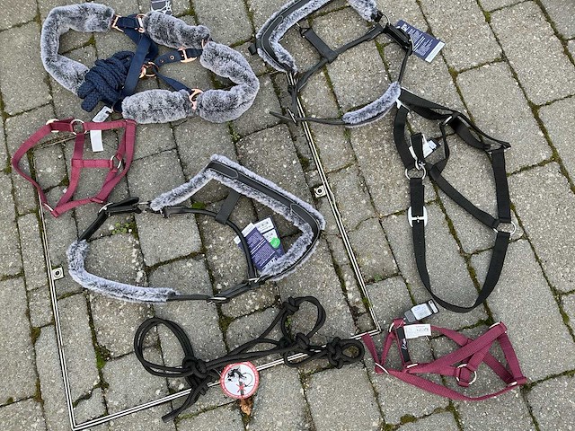 Halsters paarden (7x) - afbeelding 2 van  9