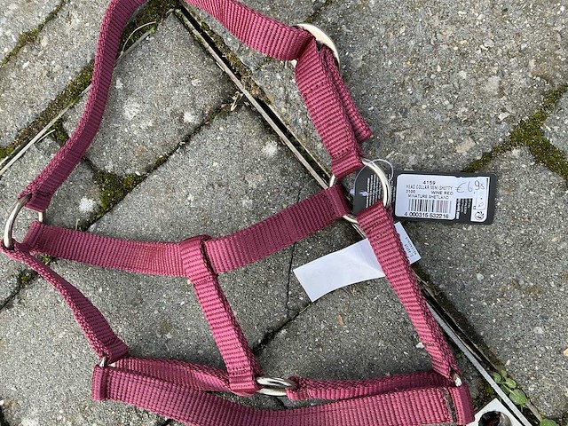 Halsters paarden (7x) - afbeelding 9 van  9