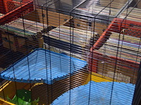 Hamsterkooi - afbeelding 2 van  2