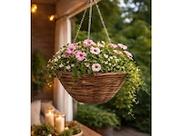 Hangbloempot - afbeelding 2 van  2