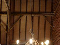 Hanglamp gemaakt uit geweien - afbeelding 1 van  3