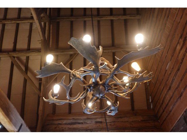 Hanglamp gemaakt uit geweien - afbeelding 2 van  3