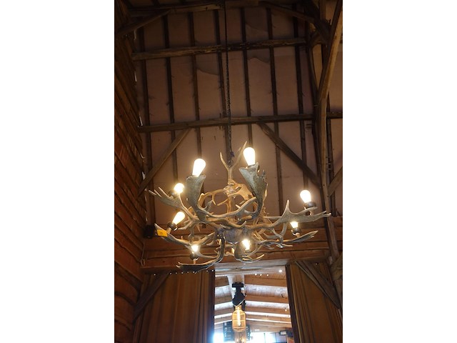 Hanglamp gemaakt uit geweien - afbeelding 3 van  3