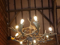Hanglamp gemaakt uit geweien - afbeelding 3 van  3