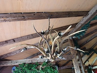 Hanglamp gemaakt uit geweien - afbeelding 2 van  2