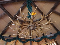 Hanglamp gemaakt uit geweien - afbeelding 2 van  3