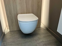 Hangtoilet/kolomkast en handenwasser - afbeelding 13 van  18