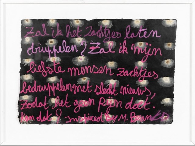Hannes d'haese - origineel - afbeelding 1 van  1