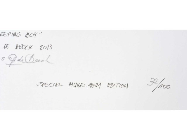 Hans op de beeck - sleeping boy - inkjet print - afbeelding 5 van  8