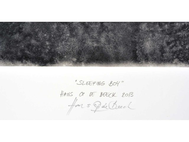 Hans op de beeck - sleeping boy - inkjet print - afbeelding 3 van  7