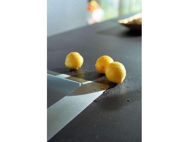 Hansgrohe keuken spoelbak - afbeelding 3 van  4