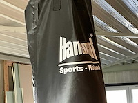 Hanumat bokszak - afbeelding 1 van  1