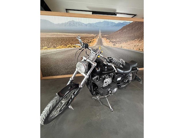 Harley davidson - sportster 1200 - motorcycle - afbeelding 13 van  19