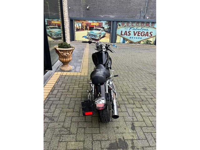 Harley davidson - sportster 1200 - motorcycle - afbeelding 11 van  13