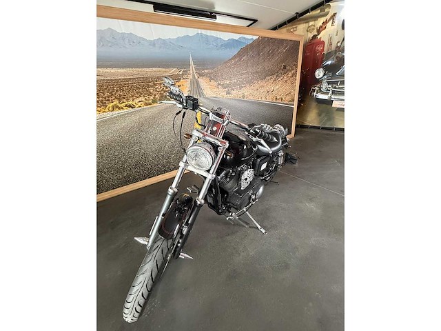 Harley davidson - sportster 1200 - motorcycle - afbeelding 15 van  19