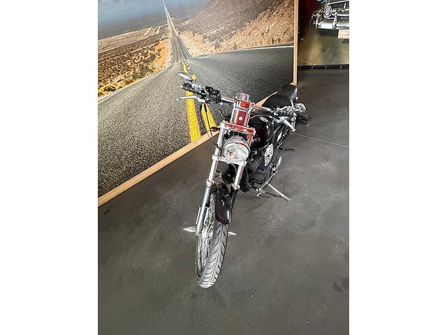Harley davidson - sportster 1200 - motorcycle - afbeelding 16 van  19