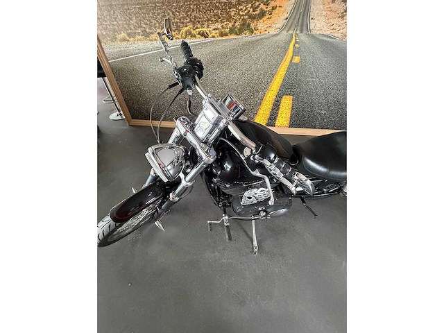 Harley davidson - sportster 1200 - motorcycle - afbeelding 19 van  19