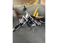 Harley davidson - sportster 1200 - motorcycle - afbeelding 19 van  19