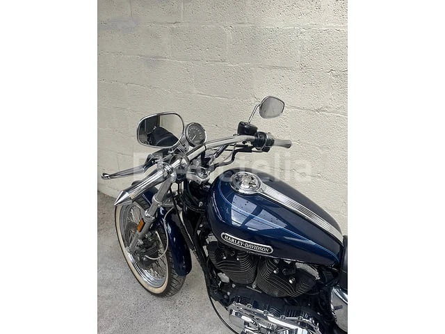 Harley davidson - sportster 1200 xl low - afbeelding 2 van  12