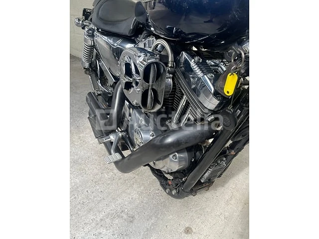 Harley davidson - sportster 1200 xl low - afbeelding 9 van  12