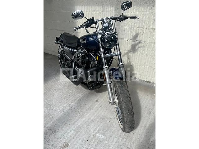 Harley davidson - sportster 1200 xl low - afbeelding 11 van  12