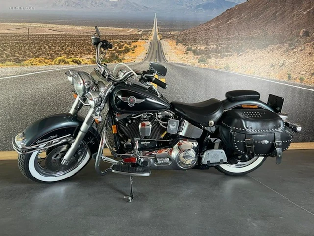 Harley davidson softail nostalgia 1995 - afbeelding 2 van  11