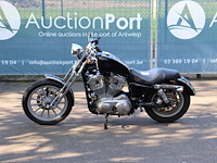 Harley-davidson sportster 883 springer benzine 2004