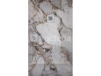 Hars douchebak - afbeelding 1 van  1