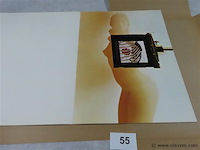 Haskins posters, sam haskins - afbeelding 3 van  6