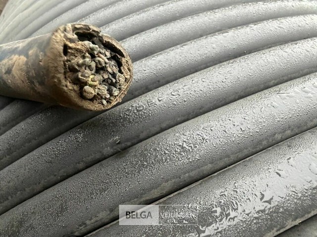 Haspel nyy-s kabel - afbeelding 2 van  3