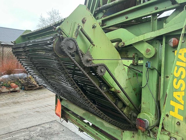 Hassia uienrooier - afbeelding 1 van  15