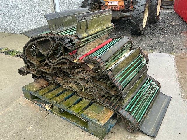 Hassia uienrooier - afbeelding 2 van  15