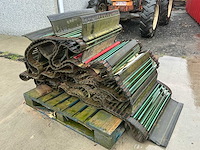 Hassia uienrooier - afbeelding 2 van  15