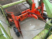 Hassia uienrooier - afbeelding 4 van  15