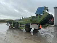 Hassia uienrooier - afbeelding 6 van  15