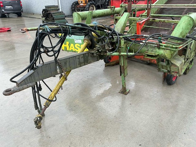 Hassia uienrooier - afbeelding 13 van  15