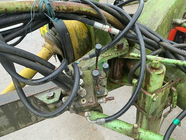 Hassia uienrooier - afbeelding 8 van  15