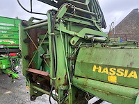 Hassia uienrooier - afbeelding 9 van  15