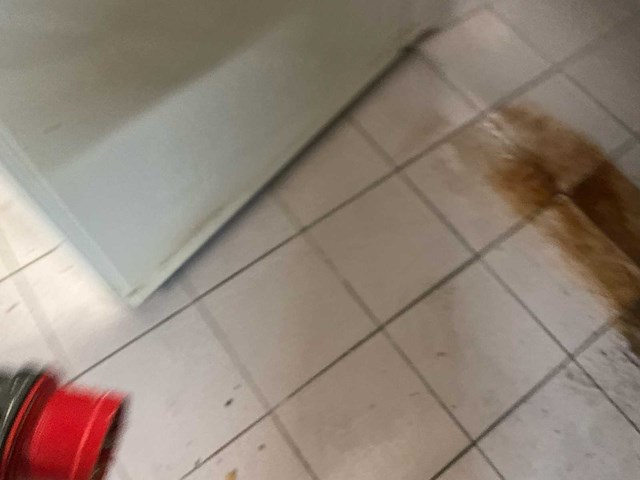 Haton deegafweger / deegdoseermachine (vermoedelijk haton) - afbeelding 10 van  11